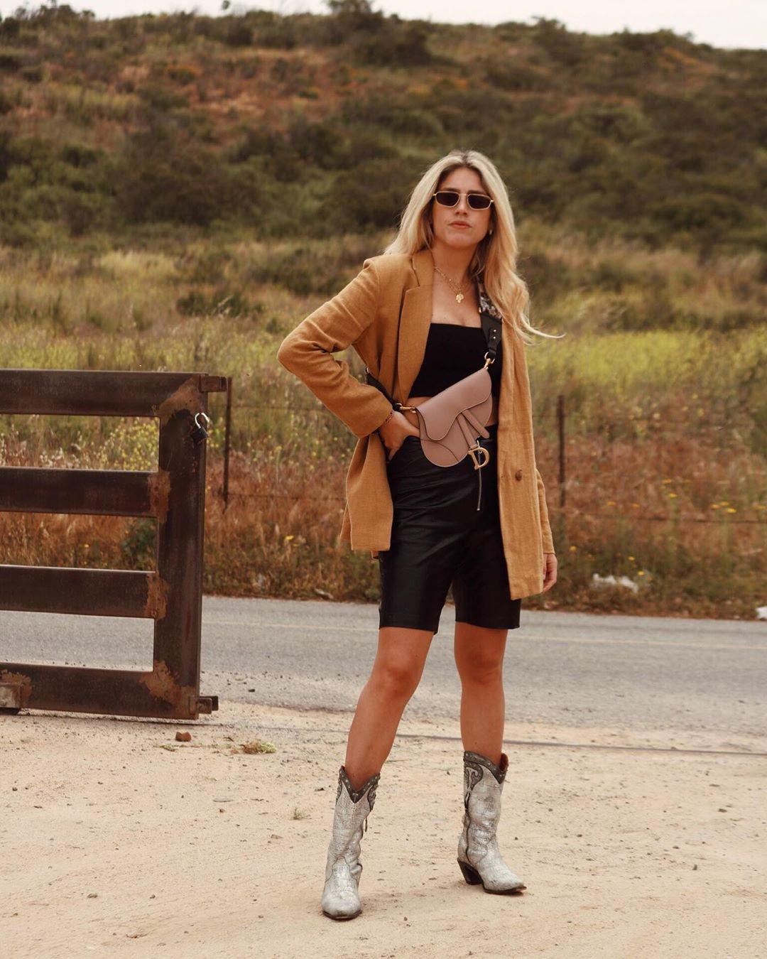 58079963_2137979529656809_2211205179458470073_n PINK SADDLE